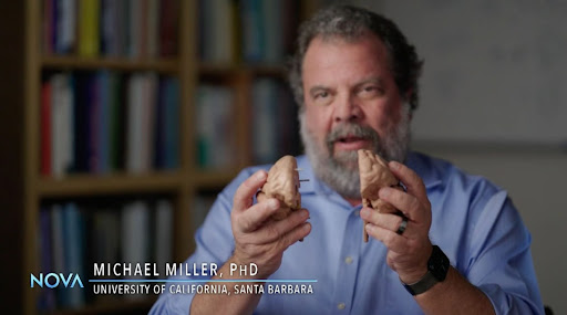 Prof. Mike Miller