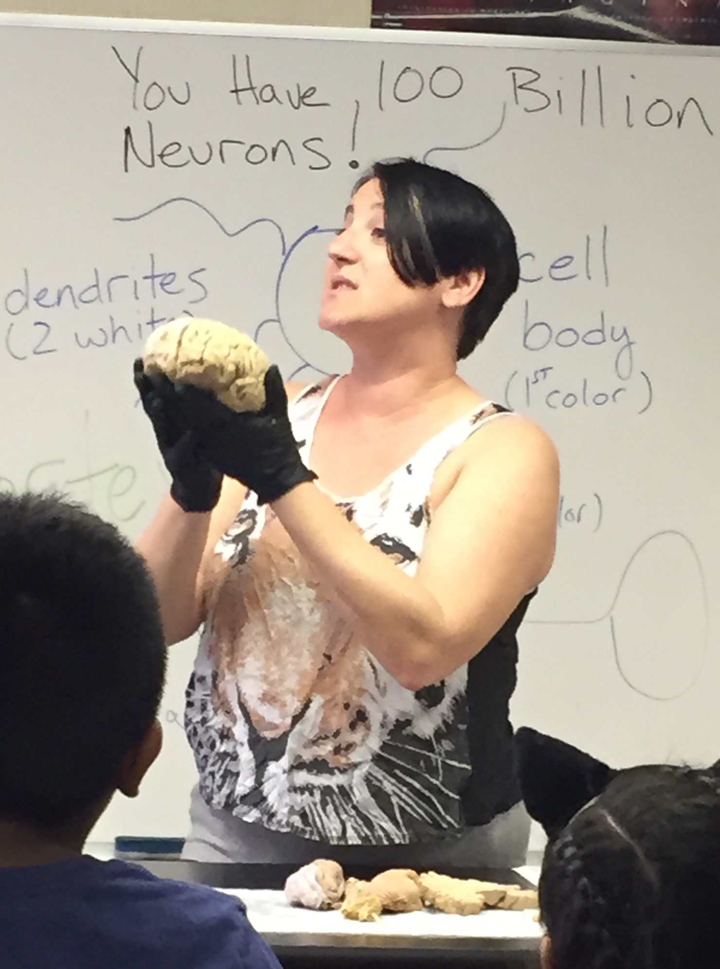 Professor Karen K. Szumlinski