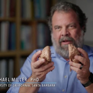 Prof. Mike Miller